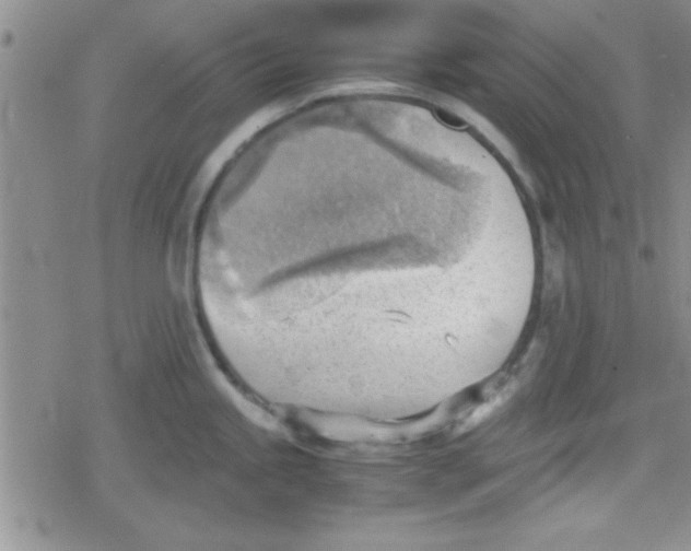 X0000079341245200612082016