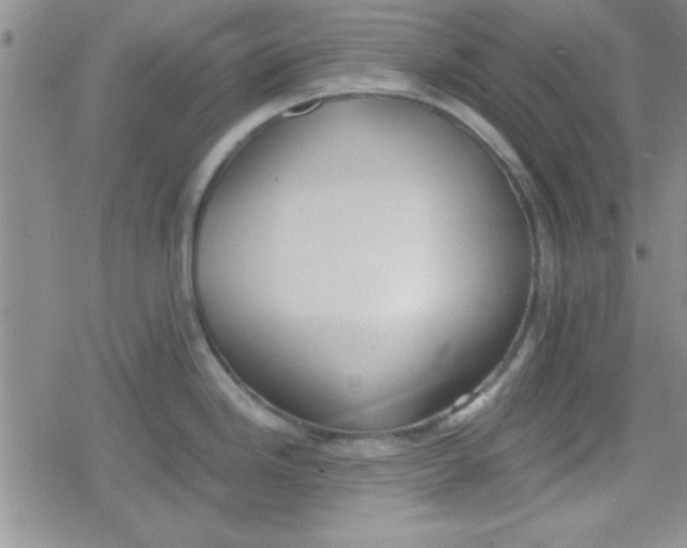 X0000079341246200612082016