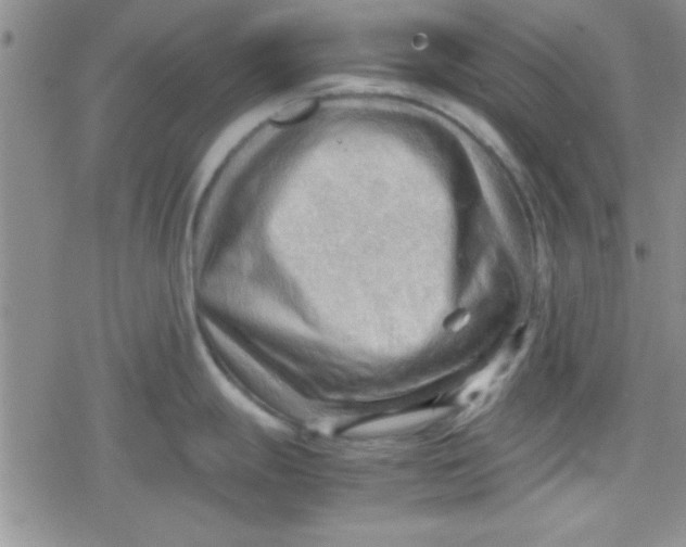 X0000079341247200612082016