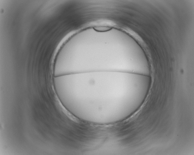 X0000079341248200612082016