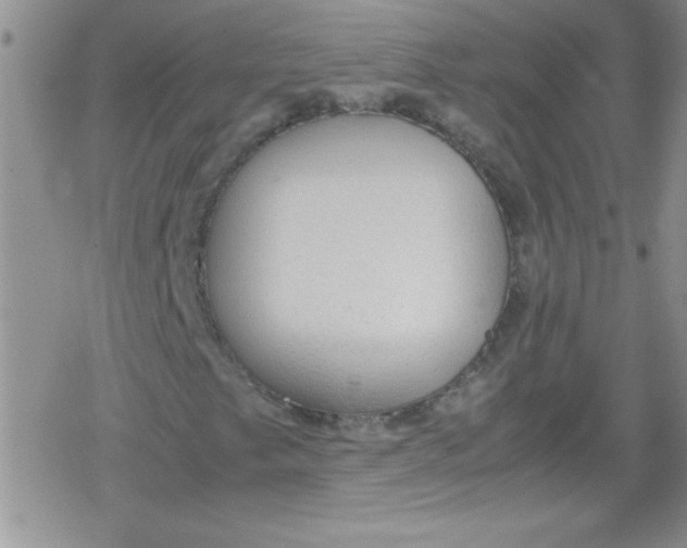 X0000079341249200612082015