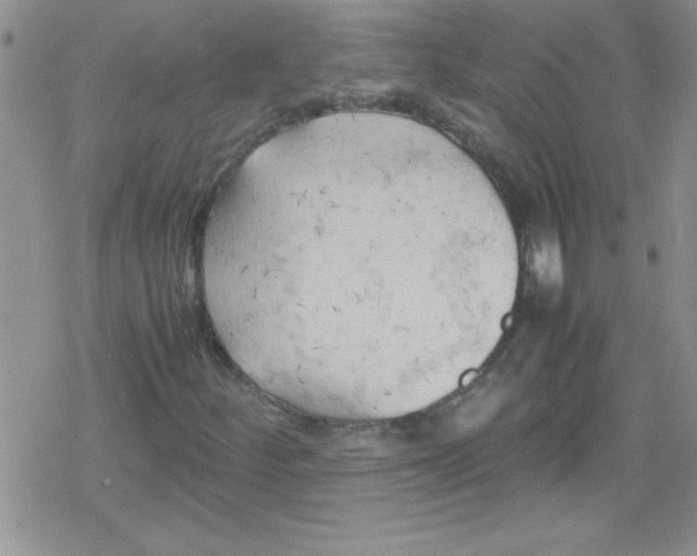 X0000079341252200612082015