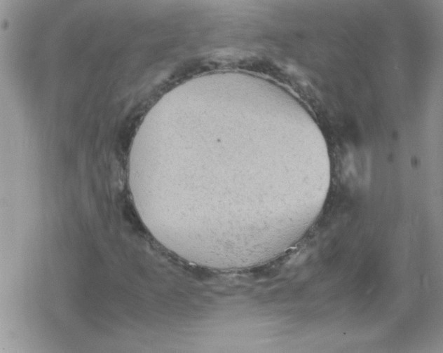 X0000079341253200612082015