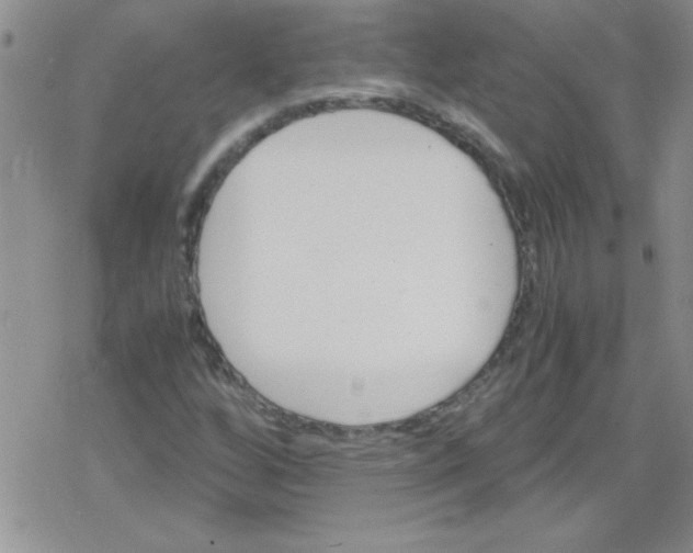 X0000079341256200612082015