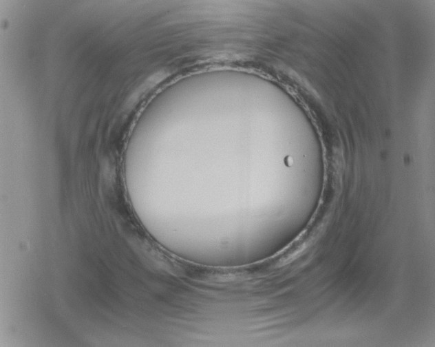 X0000079341257200612082015