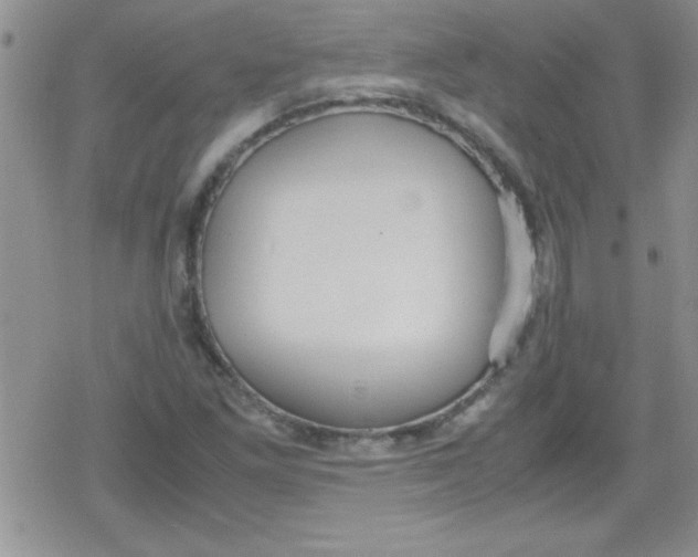 X0000079341261200612082015