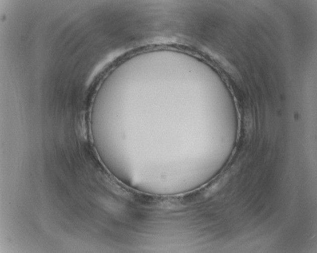 X0000079341262200612082015