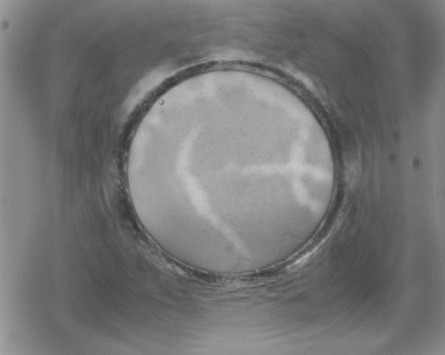 X0000079341263200612082015