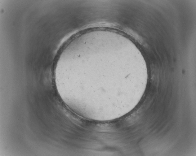 X0000079341264200612082015