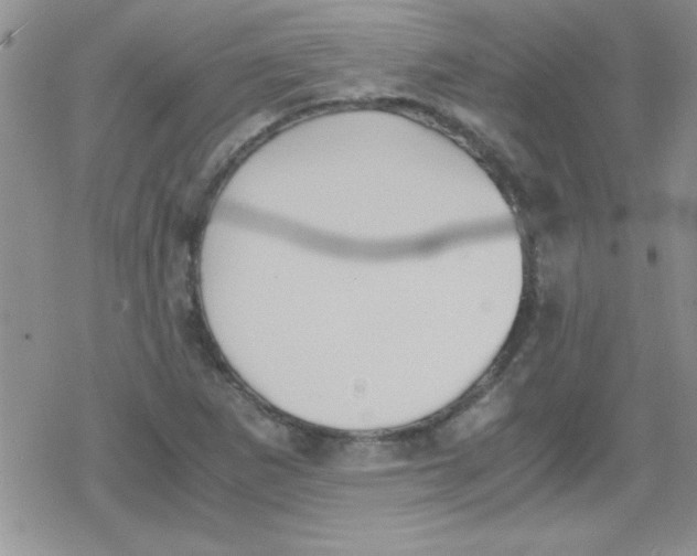 X0000079341265200612082015