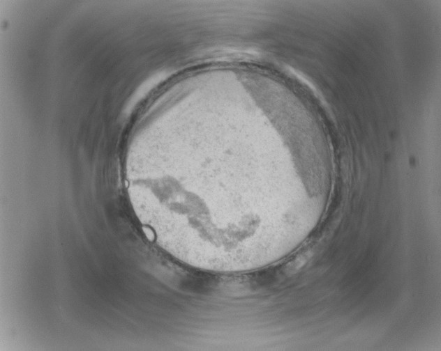 X0000079341267200612082015