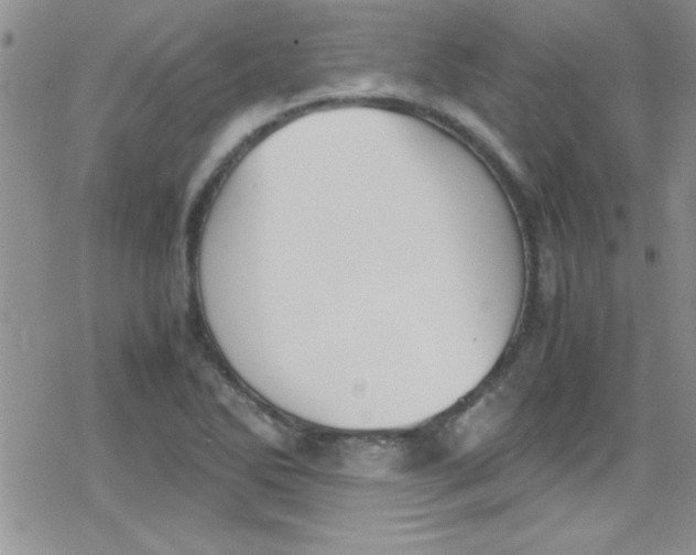 X0000079341270200612082015