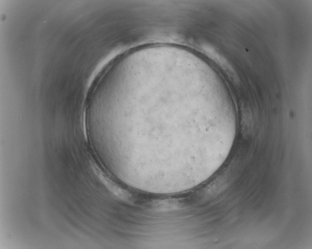 X0000079341272200612082015