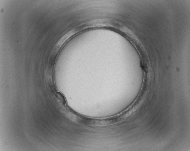 X0000079341273200612082015