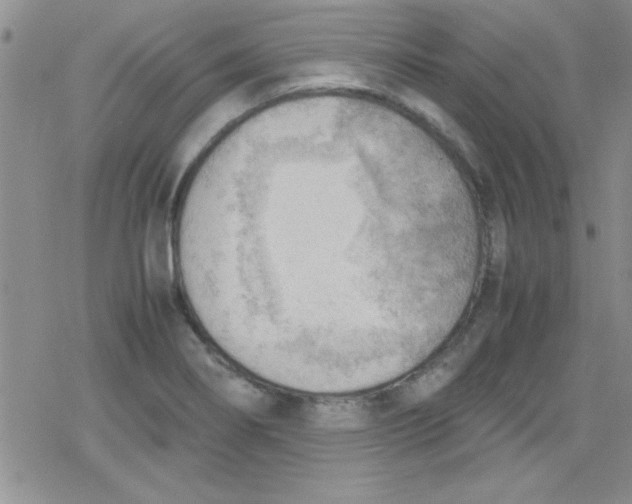 X0000079341274200612082015