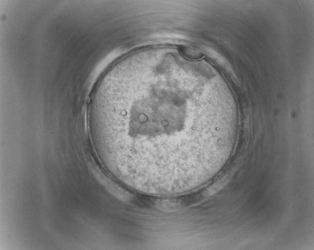 X0000079341275200612082015