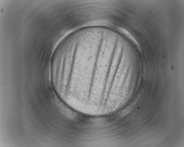 X0000079341276200612082015