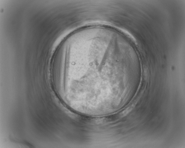 X0000079341279200612082015