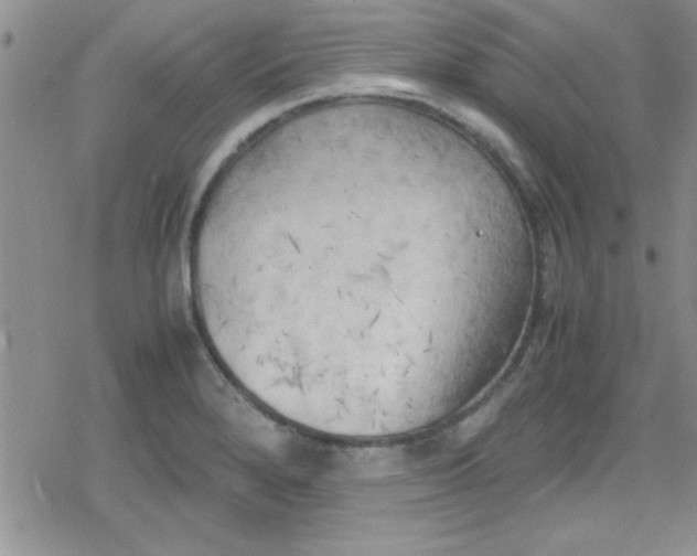 X0000079341280200612082015