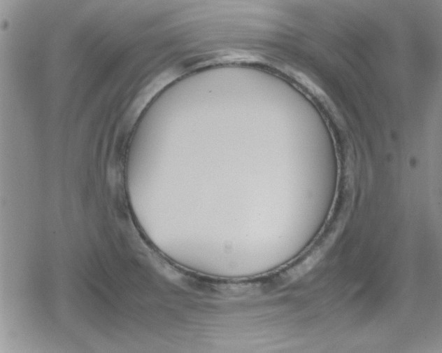 X0000079341281200612082015