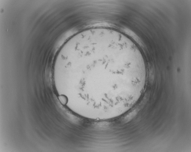 X0000079341282200612082015