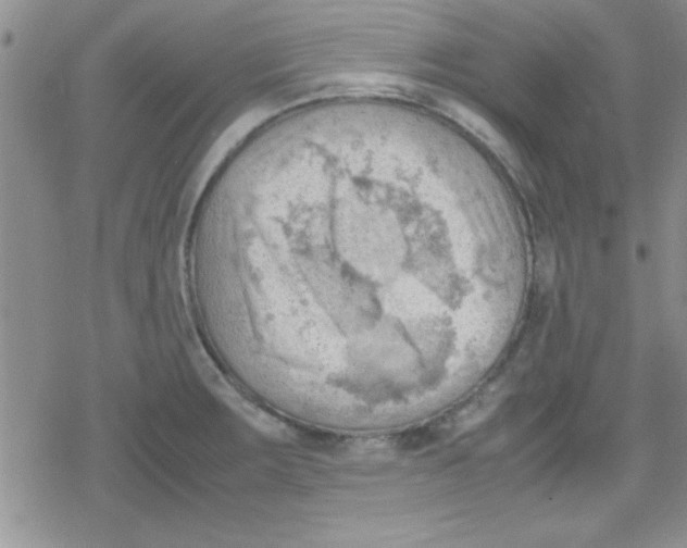 X0000079341283200612082015