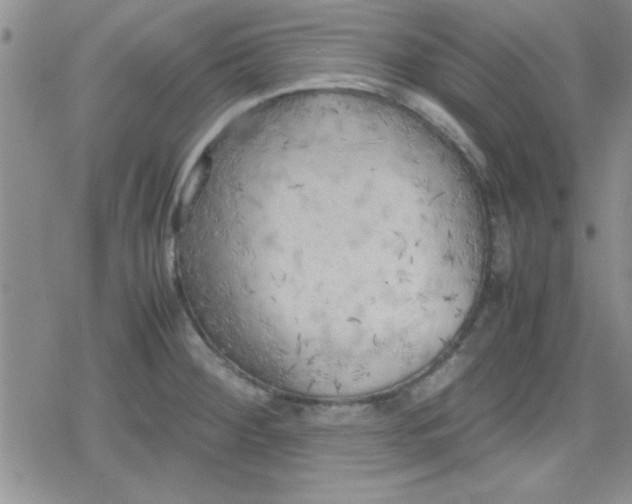 X0000079341284200612082015