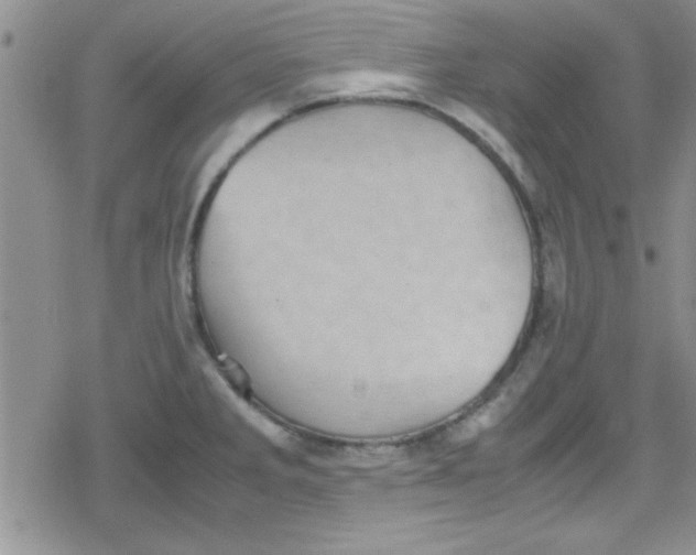 X0000079341285200612082015