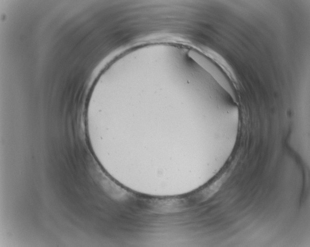 X0000079341288200612082015