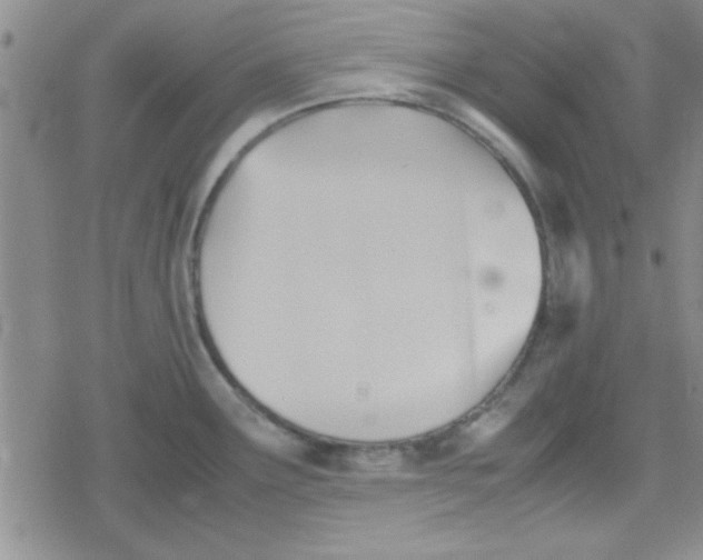 X0000079341291200612082015