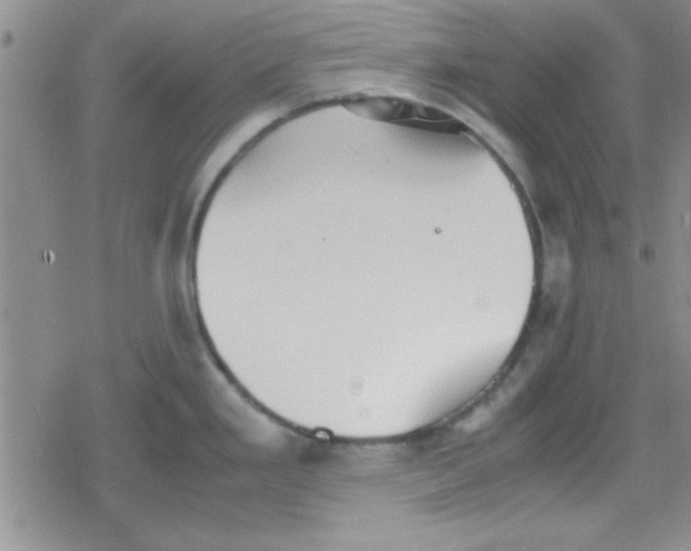 X0000079341293200612082015