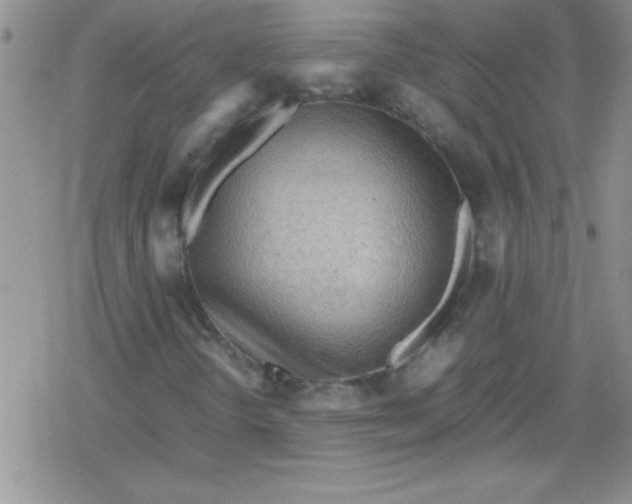 X0000079341298200612082014