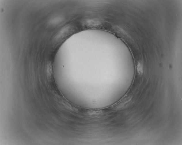 X0000079341299200612082014