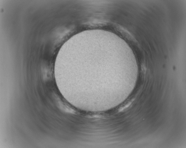 X0000079341300200612082014