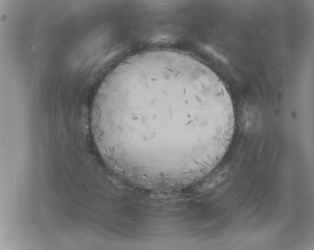 X0000079341301200612082014