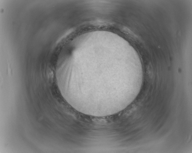 X0000079341302200612082014