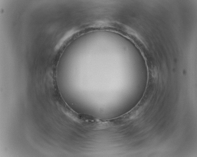 X0000079341304200612082014