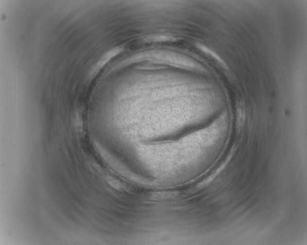 X0000079341305200612082014