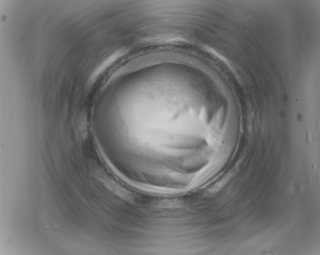 X0000079341306200612082014