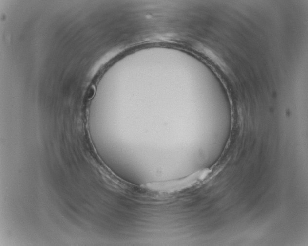 X0000079341308200612082014