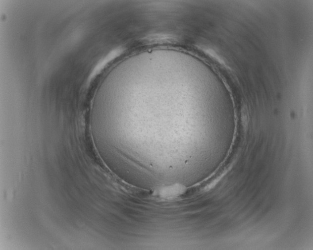 X0000079341309200612082014