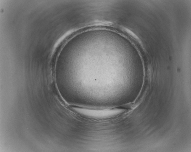 X0000079341310200612082014