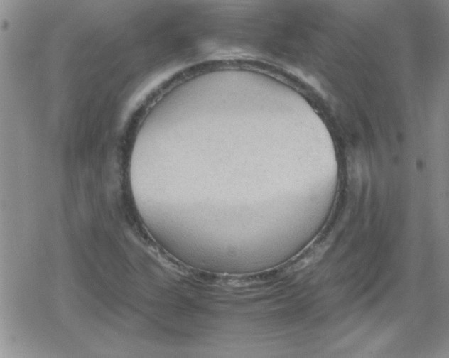 X0000079341311200612082014