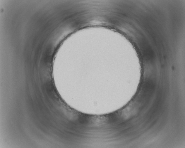 X0000079341314200612082014