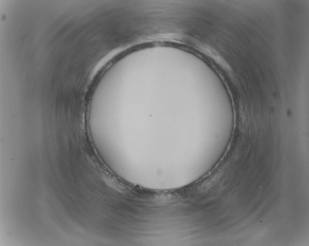 X0000079341316200612082014