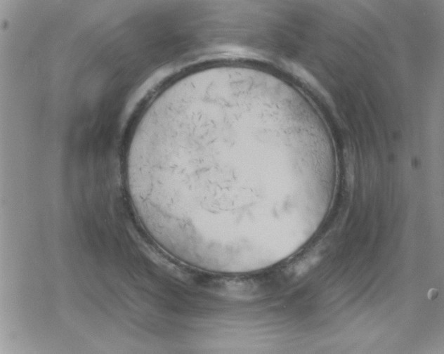 X0000079341318200612082014