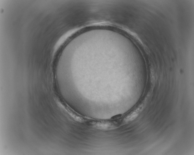 X0000079341319200612082014