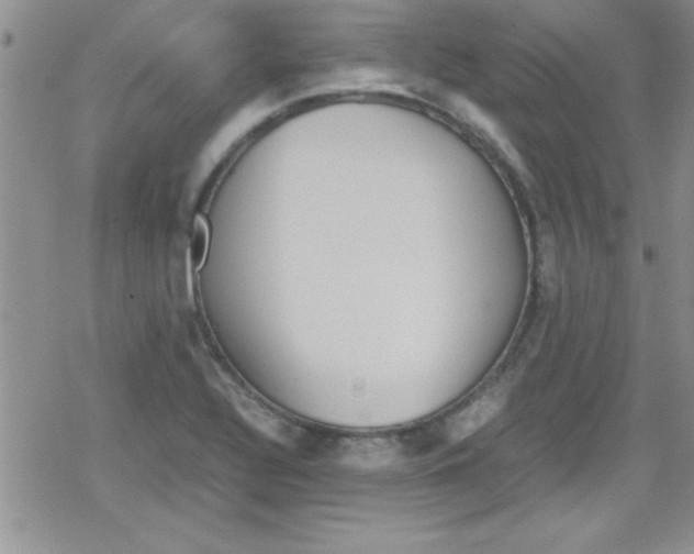 X0000079341320200612082014