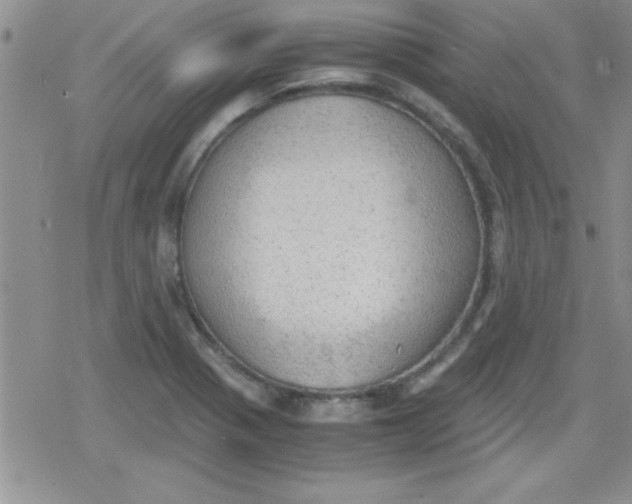 X0000079341321200612082014