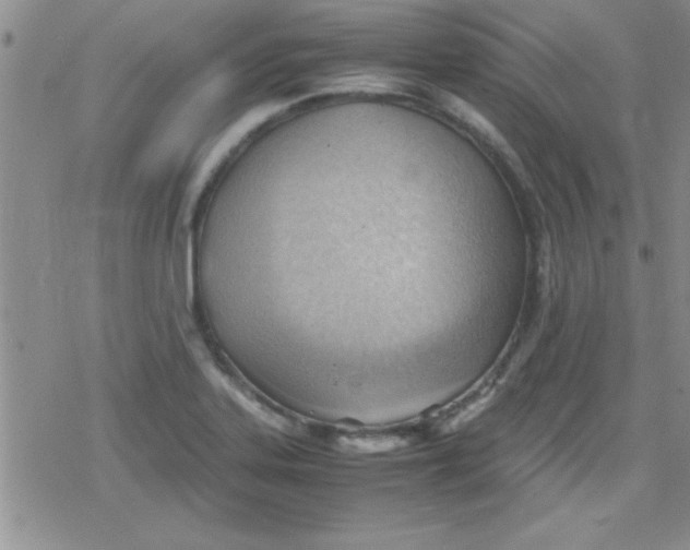 X0000079341323200612082014